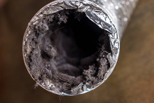 Best Commercial Air Duct Cleaning  in Rosedale, WA